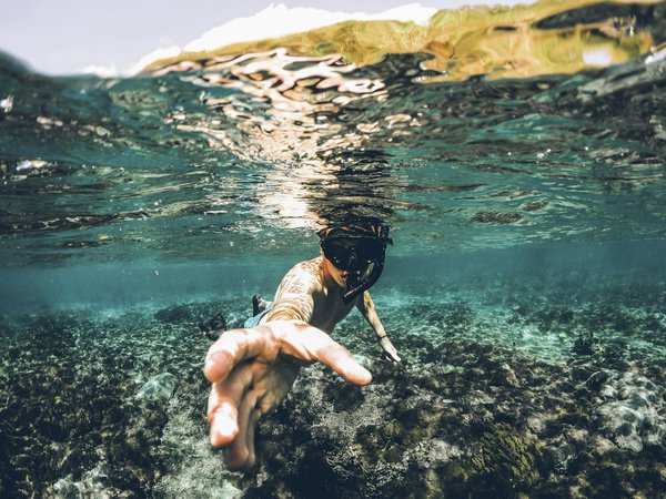 Où trouver les meilleures plages pour le snorkeling à Hawaï ?